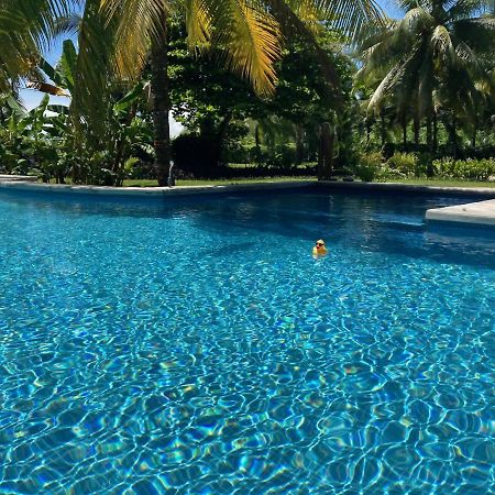 Sand Dollar Beach Bed & Breakfast 博卡斯德尔托罗 外观 照片