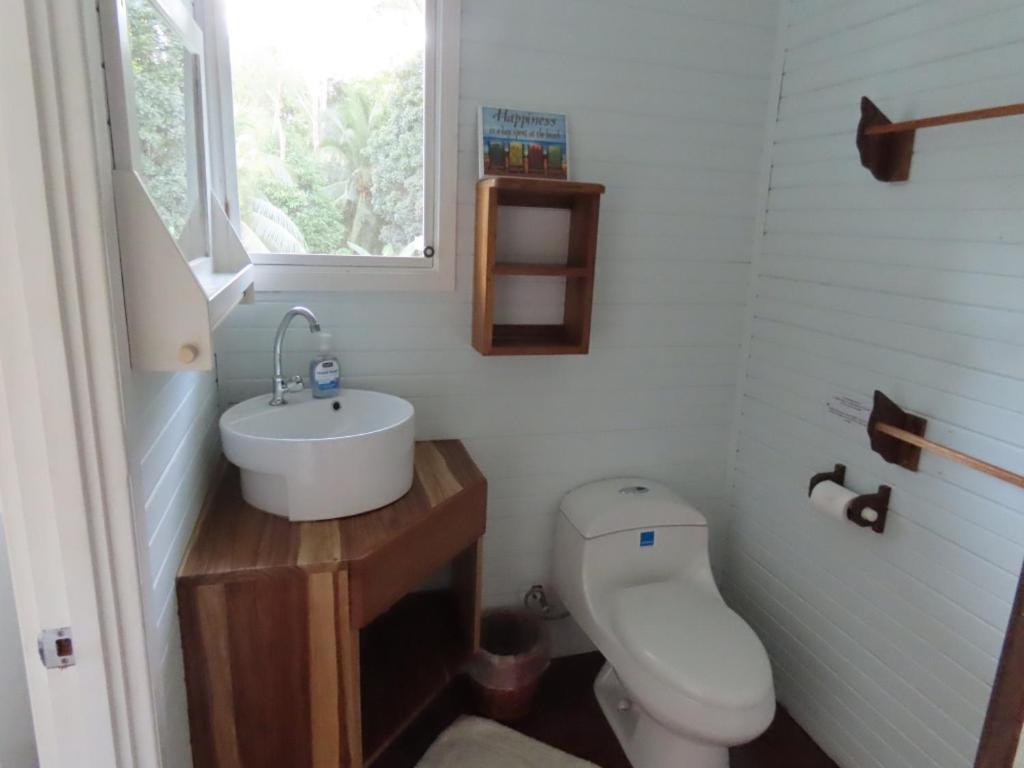 Sand Dollar Beach Bed & Breakfast 博卡斯德尔托罗 外观 照片