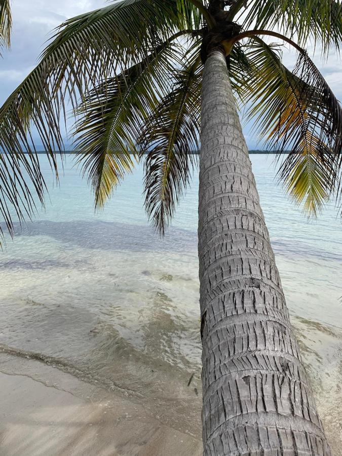 Sand Dollar Beach Bed & Breakfast 博卡斯德尔托罗 外观 照片