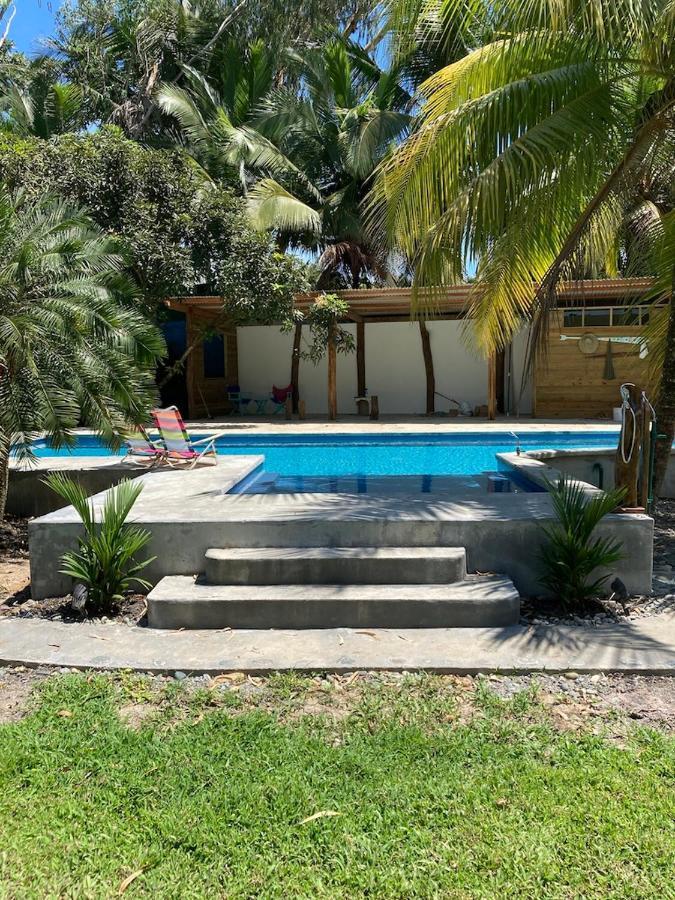 Sand Dollar Beach Bed & Breakfast 博卡斯德尔托罗 外观 照片