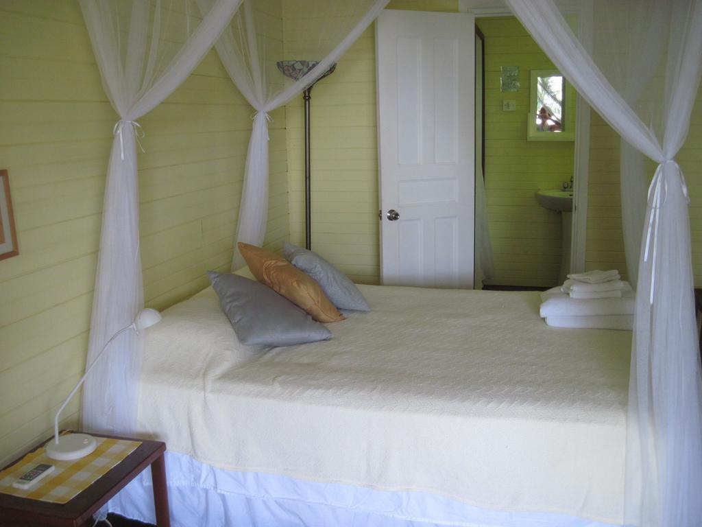 Sand Dollar Beach Bed & Breakfast 博卡斯德尔托罗 客房 照片