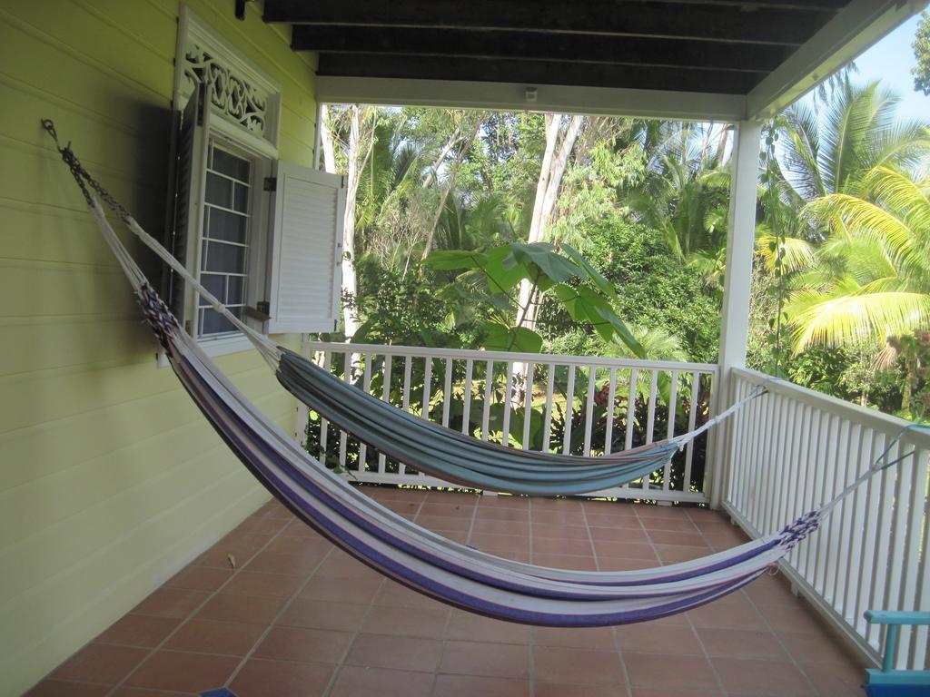 Sand Dollar Beach Bed & Breakfast 博卡斯德尔托罗 客房 照片