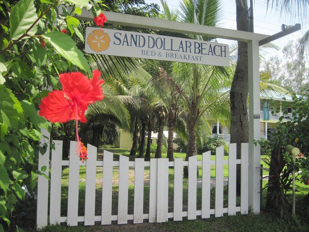 Sand Dollar Beach Bed & Breakfast 博卡斯德尔托罗 客房 照片