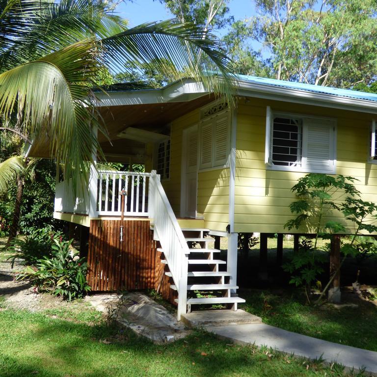 Sand Dollar Beach Bed & Breakfast 博卡斯德尔托罗 客房 照片