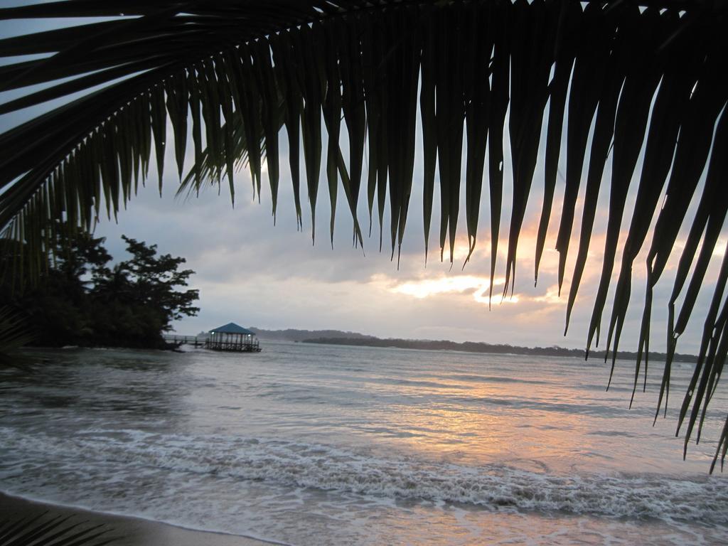 Sand Dollar Beach Bed & Breakfast 博卡斯德尔托罗 外观 照片