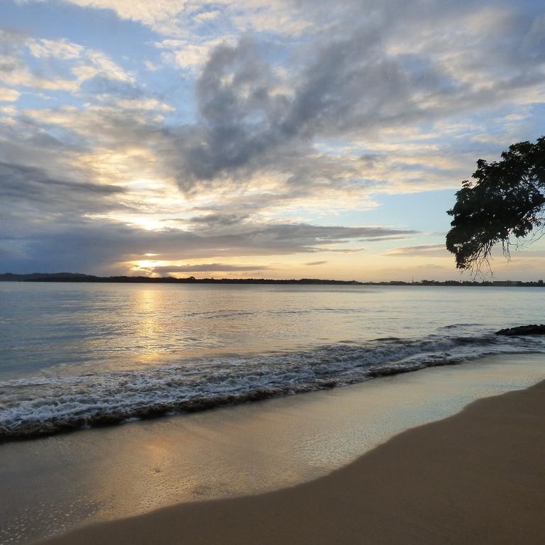 Sand Dollar Beach Bed & Breakfast 博卡斯德尔托罗 外观 照片