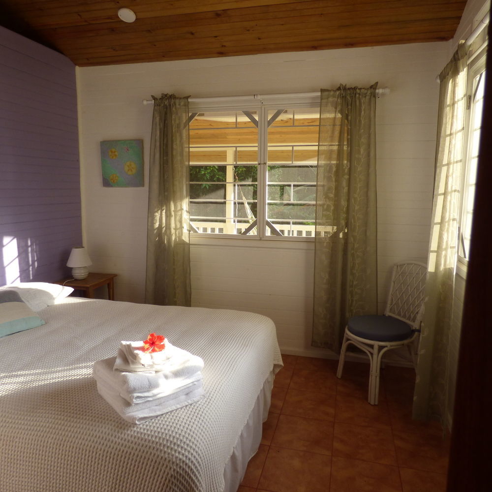 Sand Dollar Beach Bed & Breakfast 博卡斯德尔托罗 外观 照片